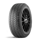 шина DoubleStar DW09 235/55R17 99T в Санкт-Петербурге